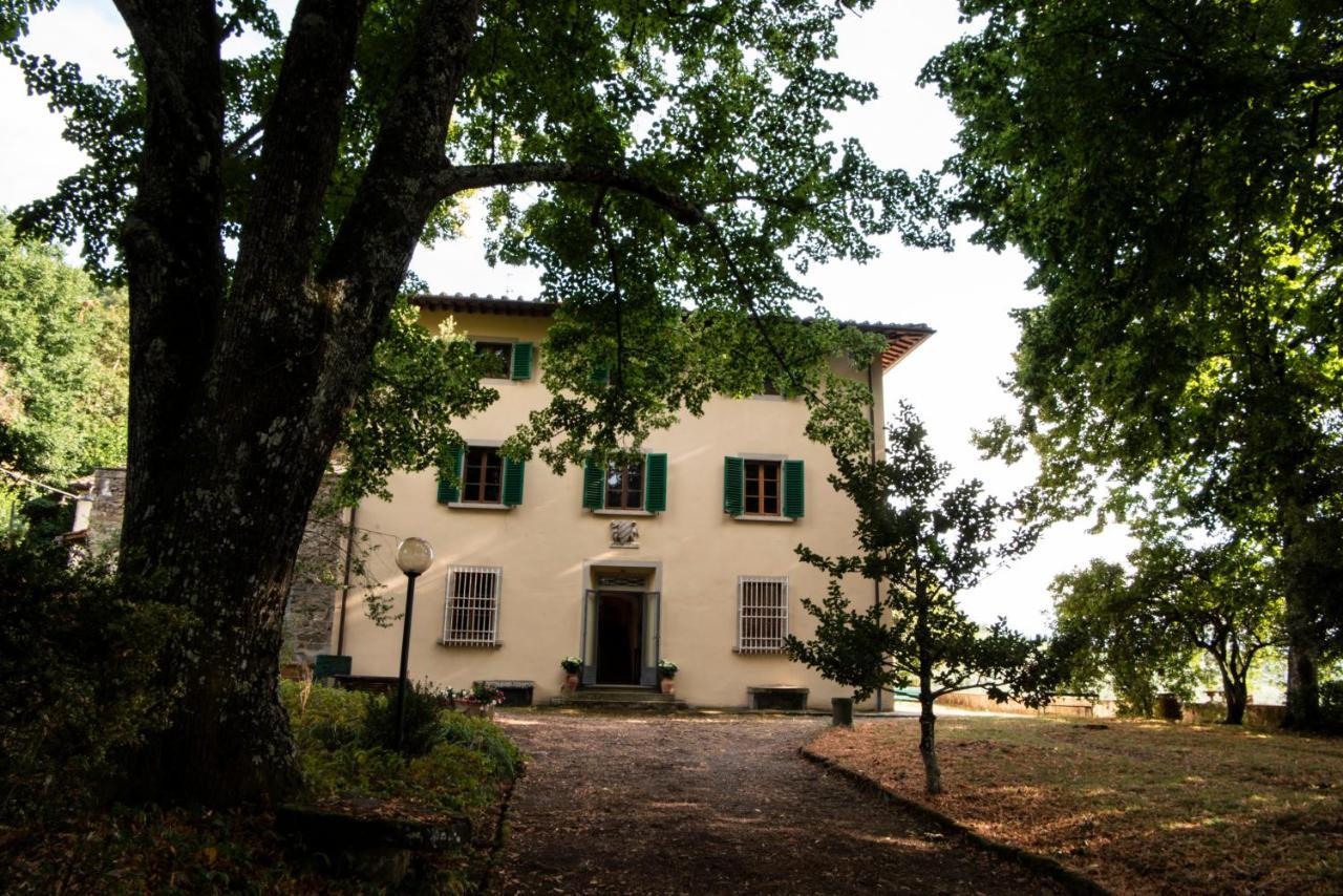 Fattoria Di Caticciano, Elegante Affittacamere Relax E Natura Vicino Firenze Pelago Kültér fotó