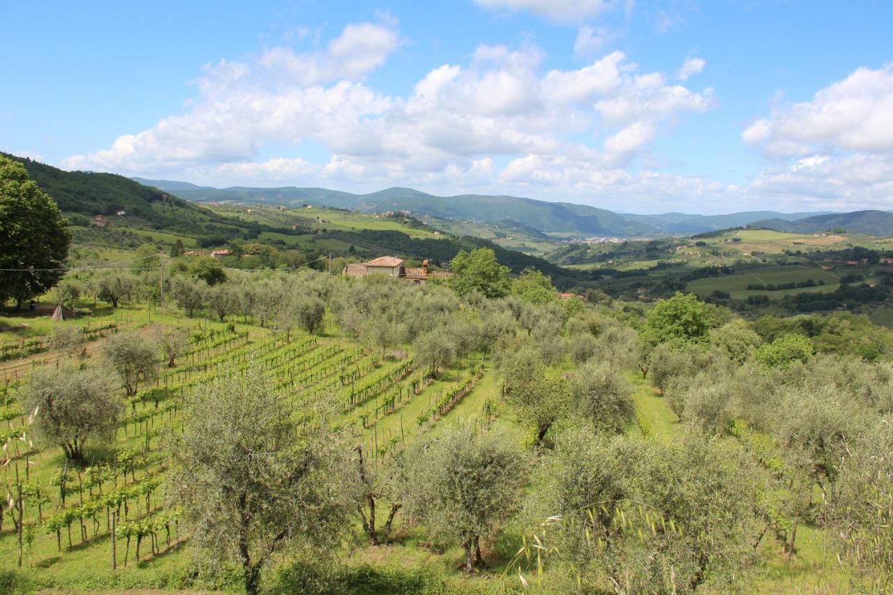Fattoria Di Caticciano, Elegante Affittacamere Relax E Natura Vicino Firenze Pelago Kültér fotó